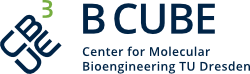 Logo B CUBE – Center for Molecular Bioengineering TU Dresden